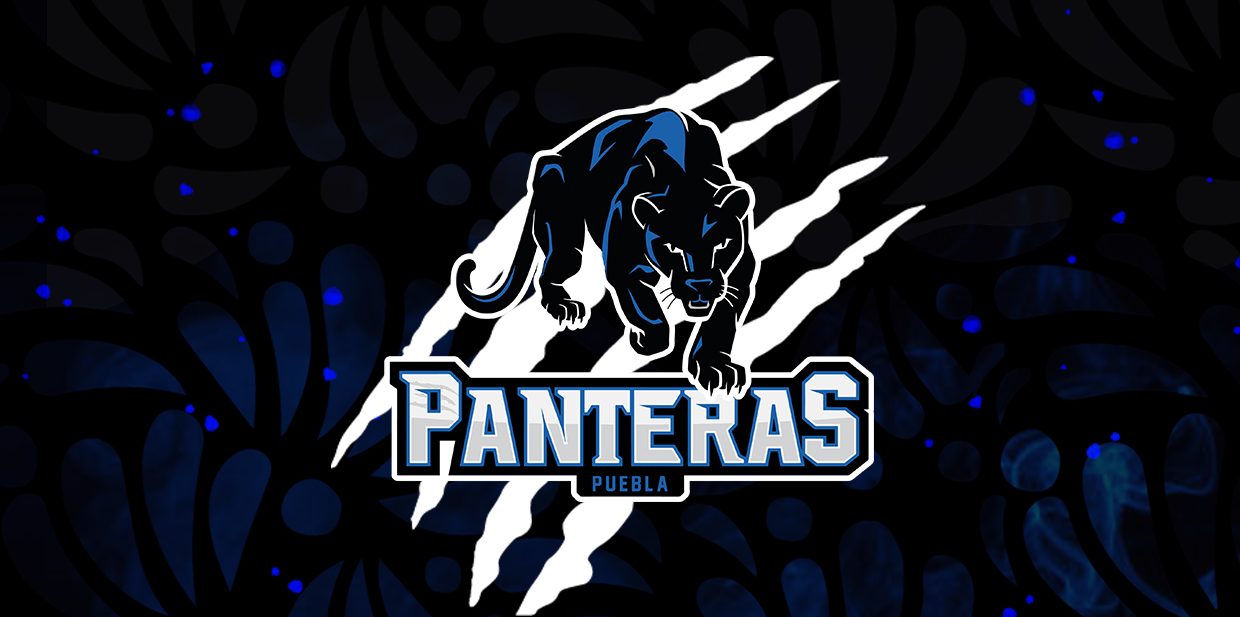 banner logo panteras